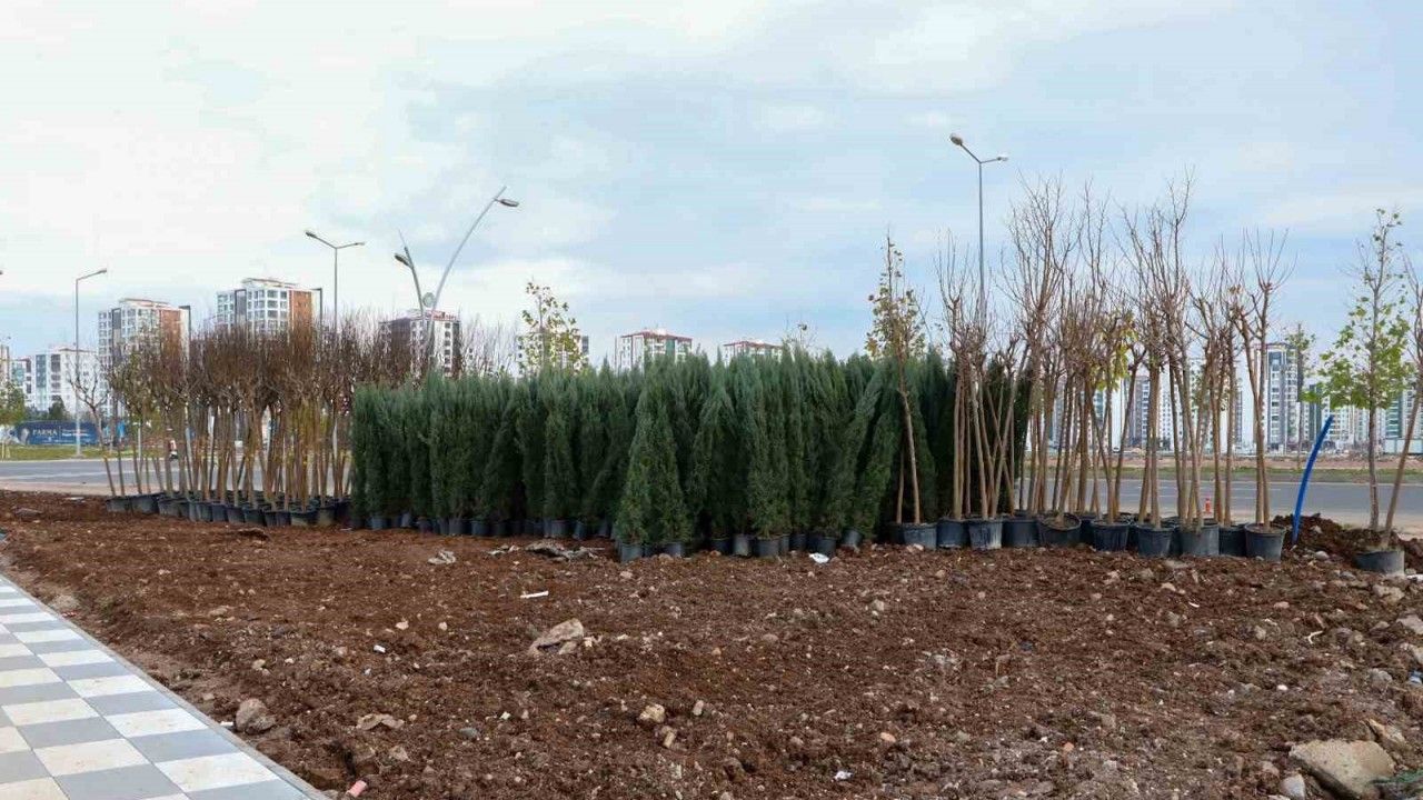Diyarbakır'da bin 800 ağaç ve 6 bin çalı dikilecek
