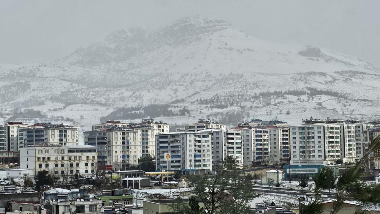 Ergani'de  kar yağışı