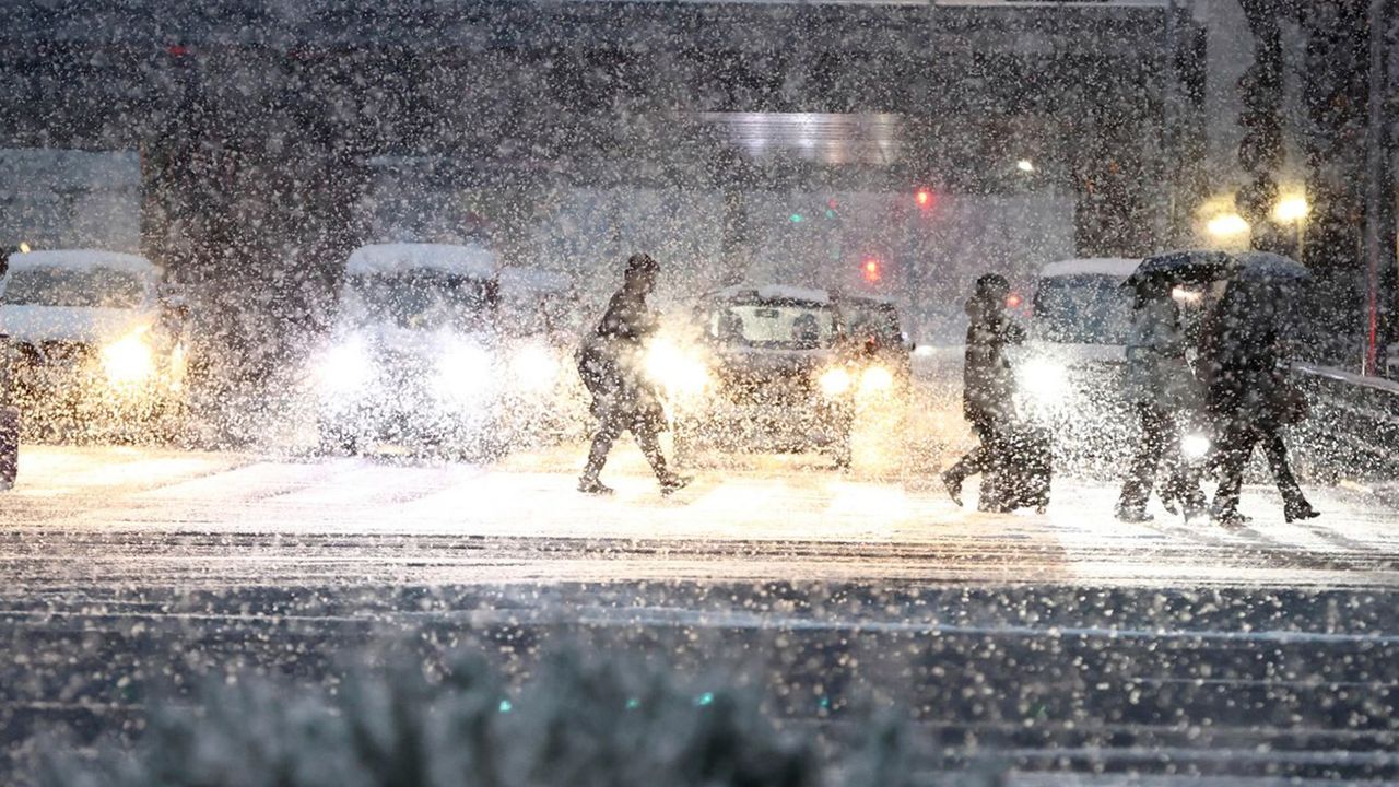 Japonya'da şiddetli kar yağışı etkili oluyor