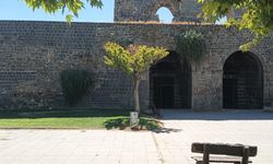 Tarihi Surları incir ağacı deldi - VİDEOLU