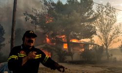 Yunanistan'da orman yangınları: 826 bin hektardan fazla alan kül oldu