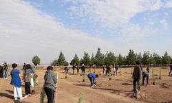 Diyarbakır’da öğrenciler fidan dikti