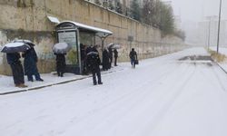 Van'da sabah uyananlar beyaz örtüyle karşılaştı