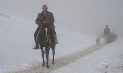 keçi sürüsü güzel görüntülere sahne oldu!