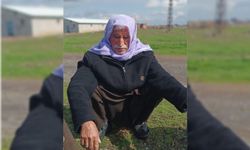 Kayıp Yaşlı Adamın Gizemli Macerası: Diyarbakır'da Mutlu Son!