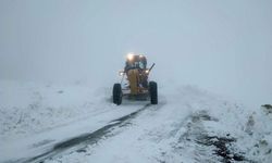 Kar yağışı 15 yerleşim yolunu ulaşıma kapattı