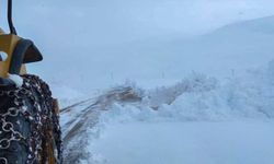 Hakkari'de 17 yerleşim yeri kar nedeniyle kapandı
