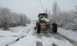 393 yerleşim biriminin yolu kar nedeniyle kapandı