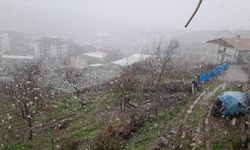 Diyarbakır’ın bazı ilçelerinde kar yağışı bazı ilçelerde bahar havası!