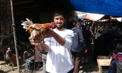 Bayrama Hazırlık: Diyarbakır Canlı Kümes Hayvan Pazarı hareketlendi!