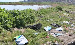 Dicle Nehri Kıyısında Piknik Atıkları Çevreyi Tehdit Ediyor