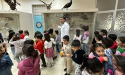 Çocuklar için Bilim Gezisi: Jeoloji Müzesi Macerası