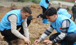 Şile’de 10 bin fidan Filistinli şehidler için toprakla buluşturuldu