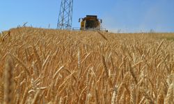 Diyarbakır'da Tarımsal İnovasyonla Verimlilik Artıyor
