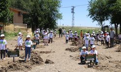 Diyarbakır'da Öğrenciler "Okuldaki Çiftlik" Projesiyle Fidan Dikti