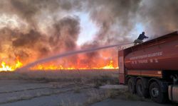 Mardin’de mayınlı sınır bölgesinde çıkan yangın petrol kuyularına sıçramadan söndürüldü