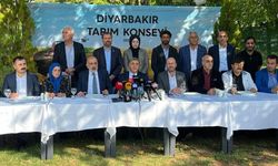 Diyarbakır'da Anız Yangınları Büyük Tehlike