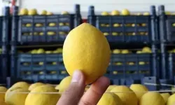 Diyarbakır'da Limon Fiyatları Rekor Kırdı