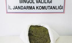 Bingöl’de 17 kilogram esrar ele geçirildi