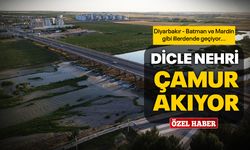 Dicle Nehri çamur akıyor!