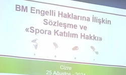 Cizre’de engellilerin spora katılım hakkı için çalıştay düzenlendi