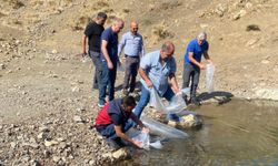 Tunceli’de doğal göle, 80 bin pullu yavru sazan bırakıldı