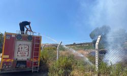 Zeytinlik alanda çıkan yangın söndürüldü