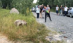 Ayı ile selfie çekip cips ikram ettiler