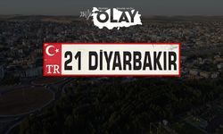 Diyarbakır’da 21 plaka kullanımı arttı: 8 ayda 16 bin 250