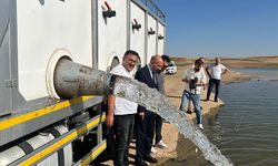 2 million baby carp were released into 30 water sources in Diyarbakır