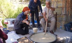 Diyarbakır'da geleneksel bağ bozumu etkinliği!