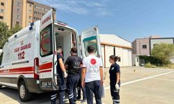 Diyarbakır’da kaç ambulans var?