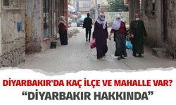 Diyarbakır'da kaç ilçe ve mahalle var?