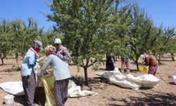 Tarım işçileri: Alım gücümüz kalmadı