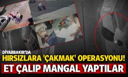 Diyarbakır'da hırsızlara 'Çakmak' operasyonu! Eti çalıp mangal yaptılar