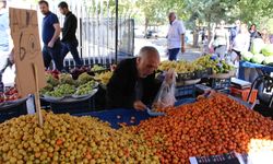 Doğal Kalp İlacı Alıç’a Diyarbakır’da Yoğun İlgi!