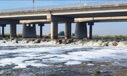 Dicle Nehri’ndeki kirlilik inceleme altında