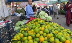 Diyarbakır'da Kış Meyveleri Pazarda Yerini Aldı