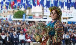 Zeytin hasat şenliği için geri sayım başlıyor