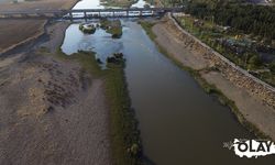 Haberimiz ses getirdi: Yetkililer Dicle Nehri için harekete geçti