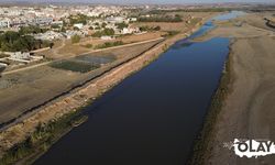 Diyarbakır'da Dicle Nehri alarm veriyor! Yok olmak üzere