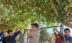 Meslek Lisesi öğrencilerinden kuşlara yuva hediye