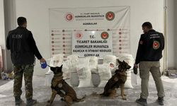 Sınır Kapısı'nda 4,5 ton uyuşturucu yakalandı