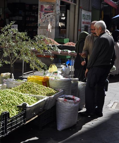 Kırma yeşil zeytin artık tezgâhlarda