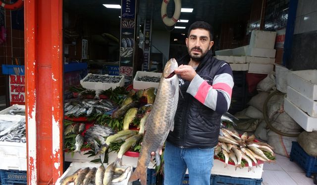 Deniz olmayan Diyarbakır'da balık bolluğu