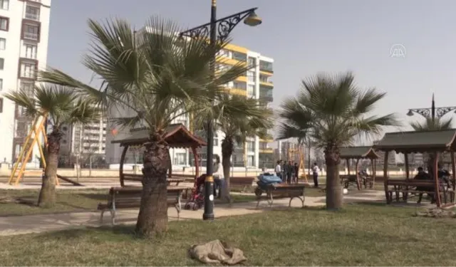Diyarbakır’ın Yol Kavşaklarını Büyüyen Palmiyeler