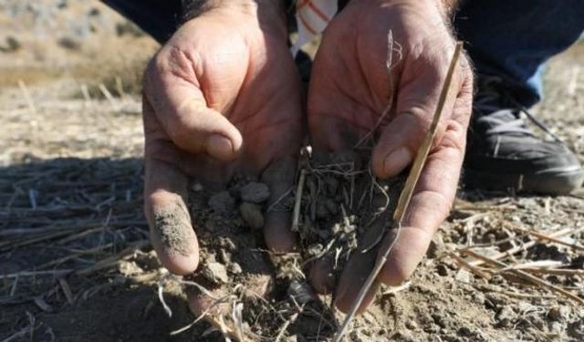 Diyarbakır’da Buğday Ekimi Başladı: Çiftçiler Umutlu