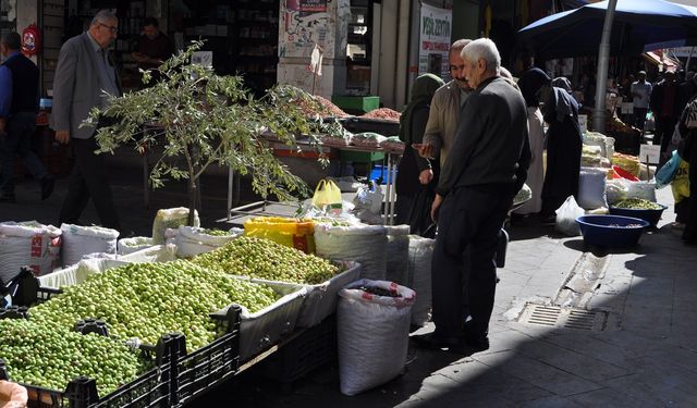 Kırma yeşil zeytin artık tezgâhlarda