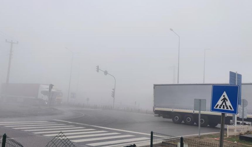 Iğdır’da yoğun sis etkili oldu