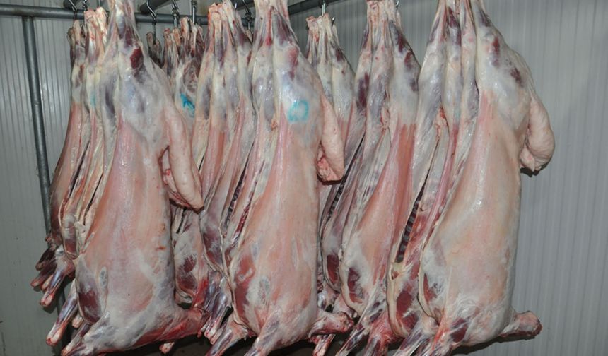 Kaçak kesilen 525 kilo et imha edildi, işletmelere 102 bin TL ceza kesildi